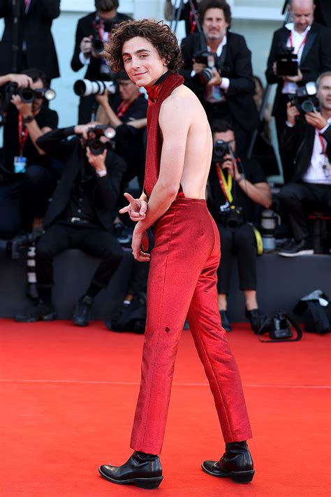 timothee chalamet red carpet